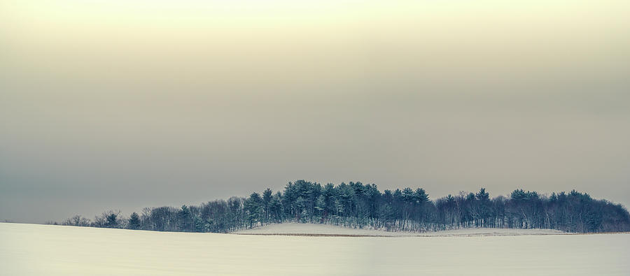 Winter Morning by Donna Lee Winter Morning by Donna Lee