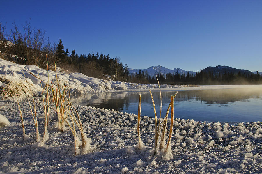 Winter Morning in Banff Photograph by Brian Kamprath