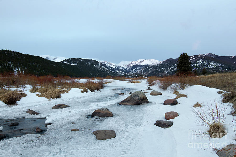 Winter Morning in Rocky Mountain National Park, Estes Park, Colo Photograph by Ronda Kimbrow