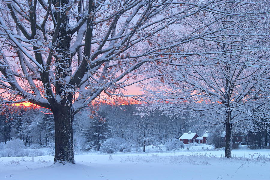 Winter Morning Photograph by John Burk