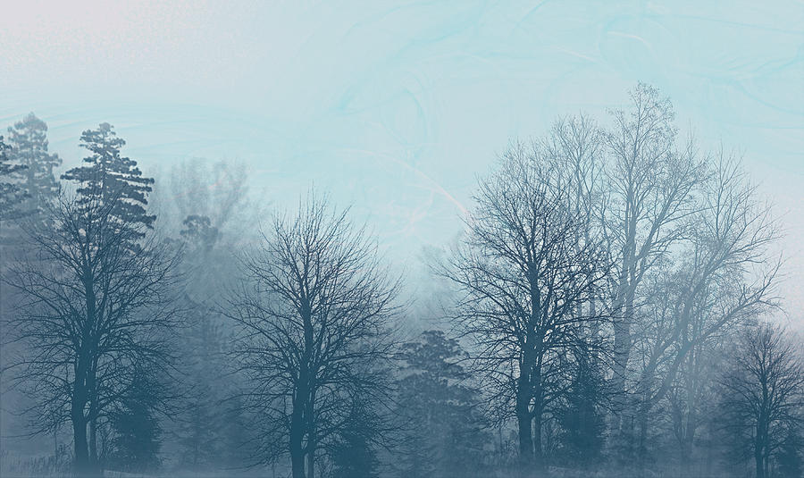 Winter Morning Digital Art by Milena Ilieva