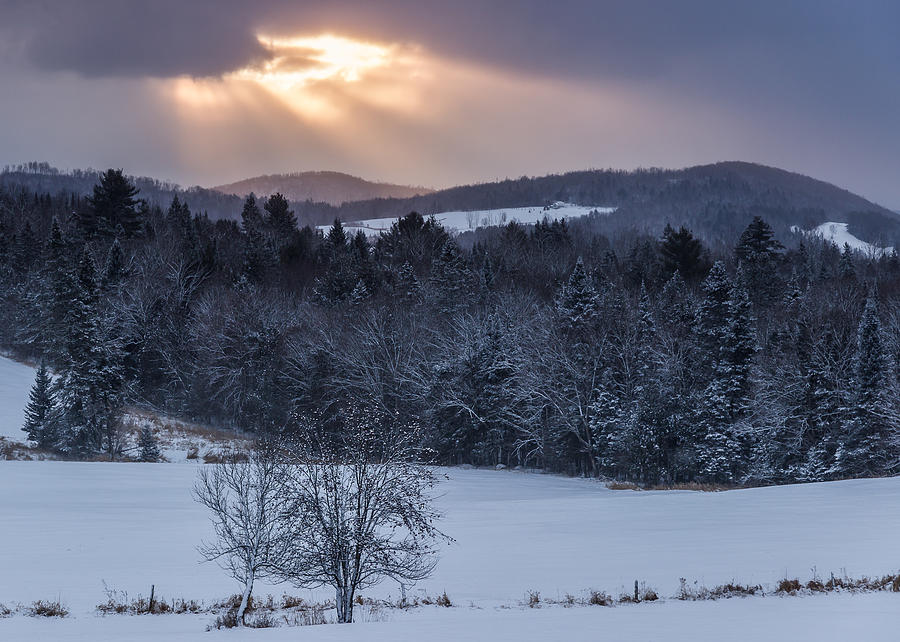 Winter Morning Photograph by Tim Kirchoff