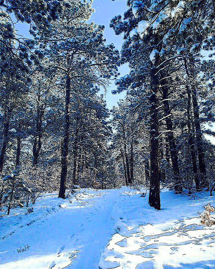Winter Digital Art - Winter Morning by Walter Chamberlain