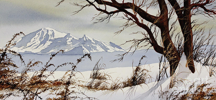 Landscape Painting - Winter Mountain Vista by James Williamson