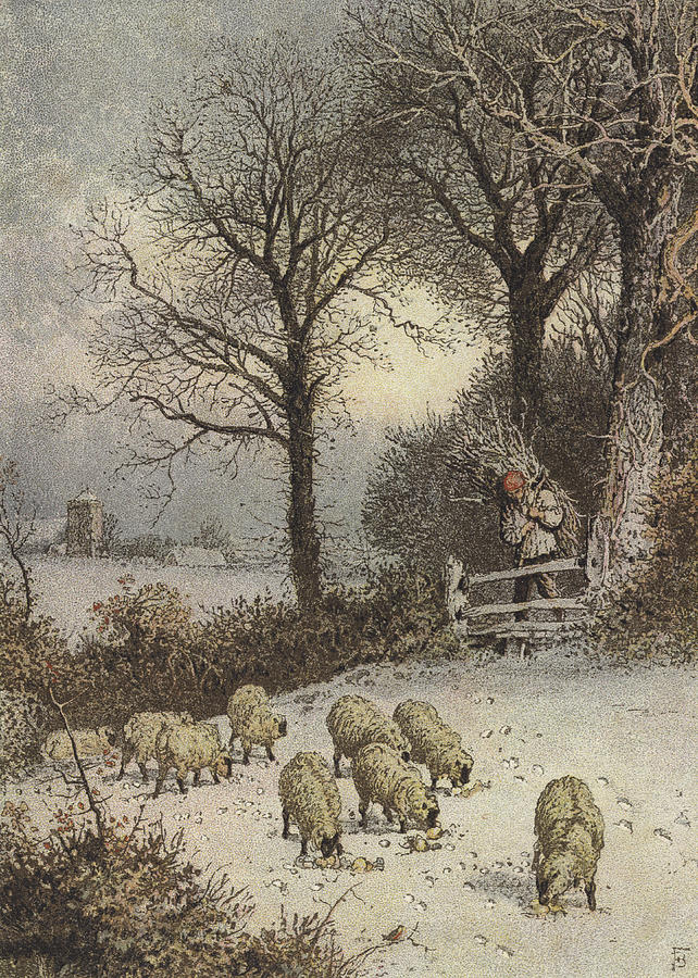 Sheep Painting - Winter by Myles Birket Foster