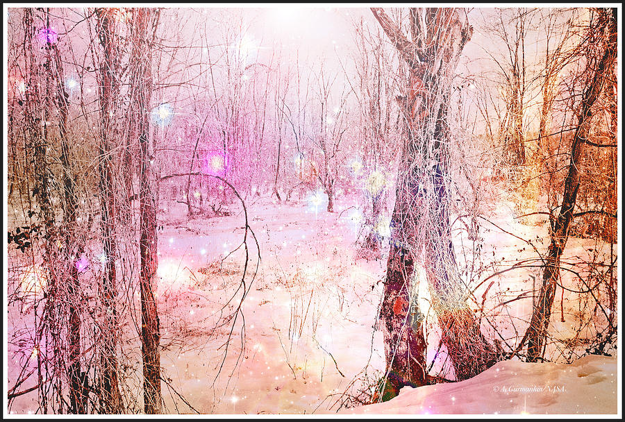 Winter Night Fantasy Photograph by A Macarthur Gurmankin