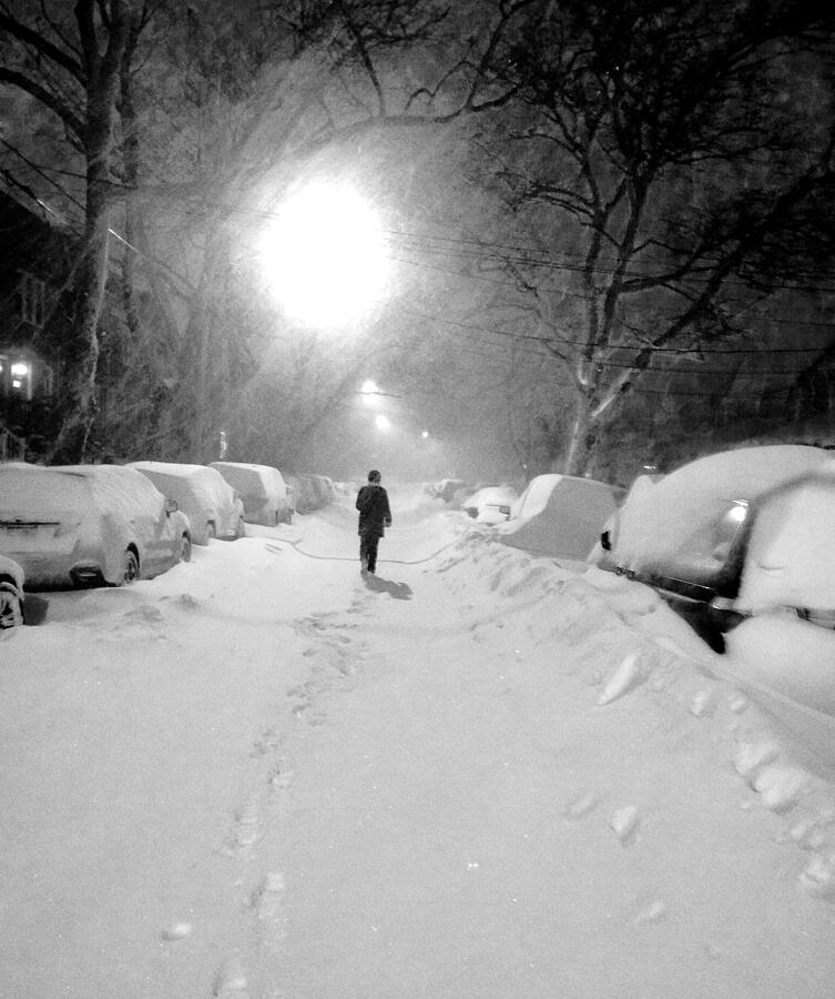 Winter Photograph - Winter Night  by Mioara Andritoiu