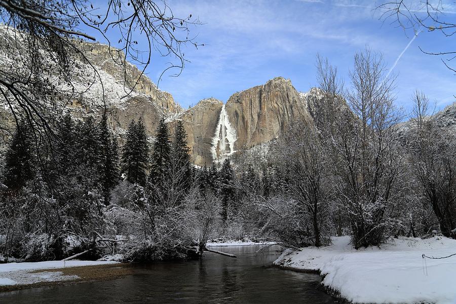 Winter of Yosemite Photograph by Hyuntae Kim