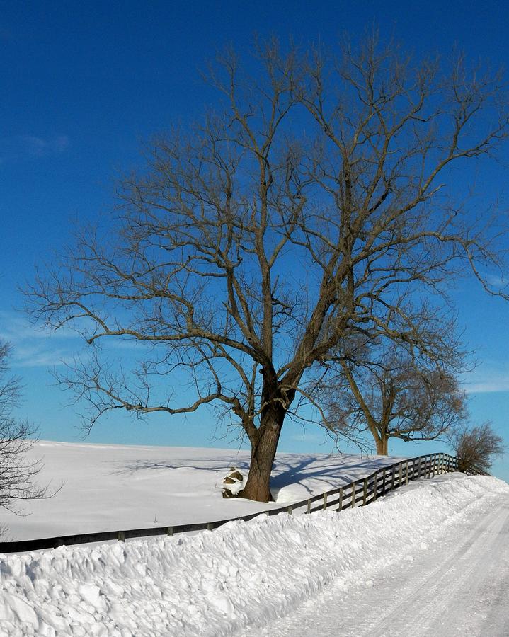 Winter on a Country Road Photograph by Joyce Kimble Smith