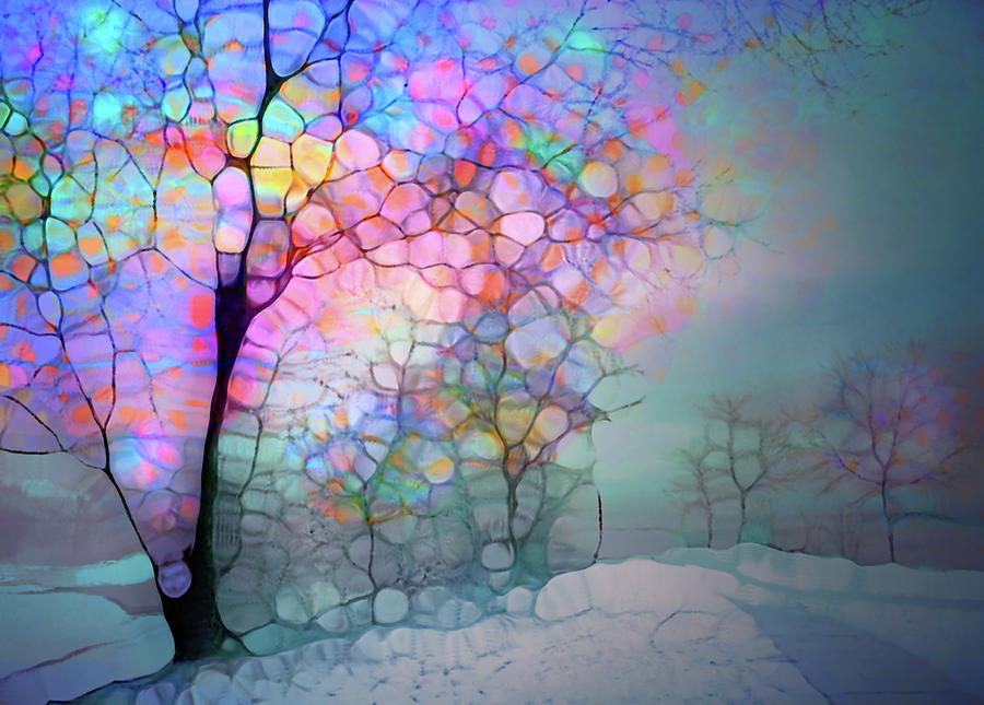 Winter on a Wednesday Digital Art by Tara Turner
