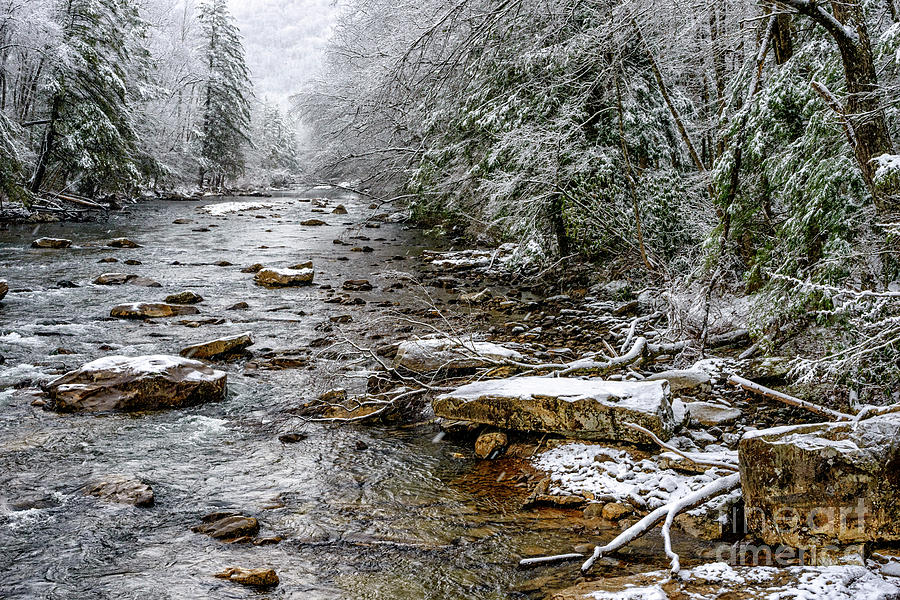 Winter on Cranberry River Photograph by Thomas R Fletcher