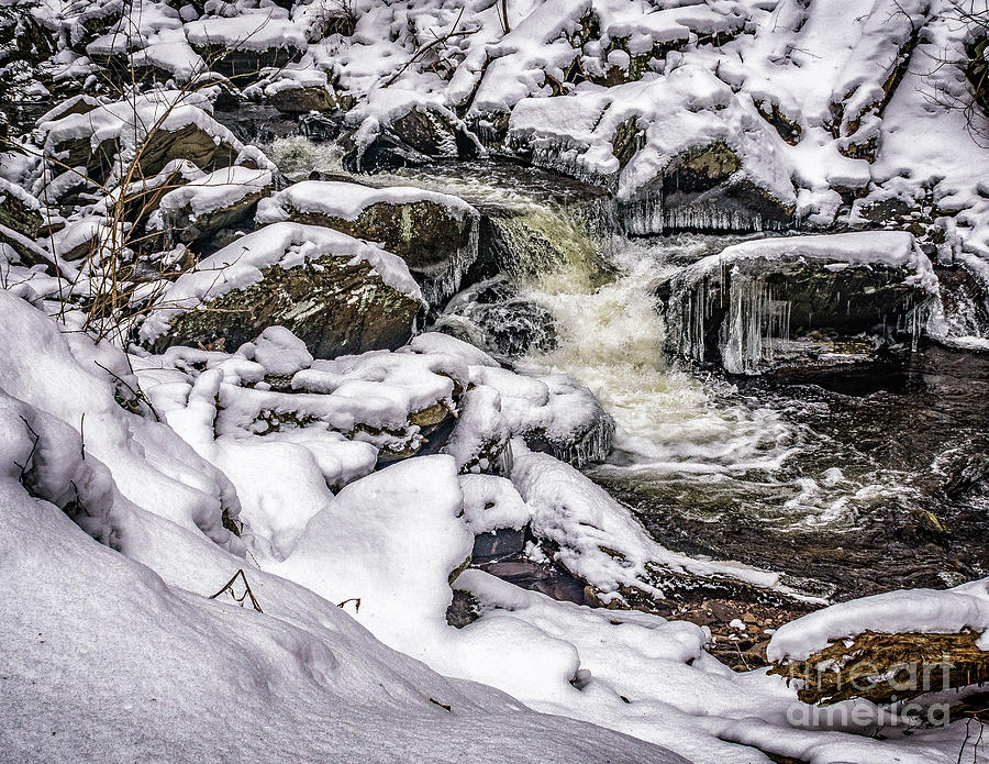 Winter on Kitchen Creek Photograph by Nick Zelinsky Jr