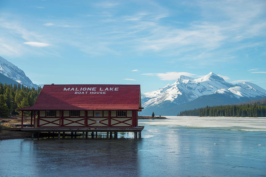 Winter on Maligne Lake Photograph by Bill Cubitt