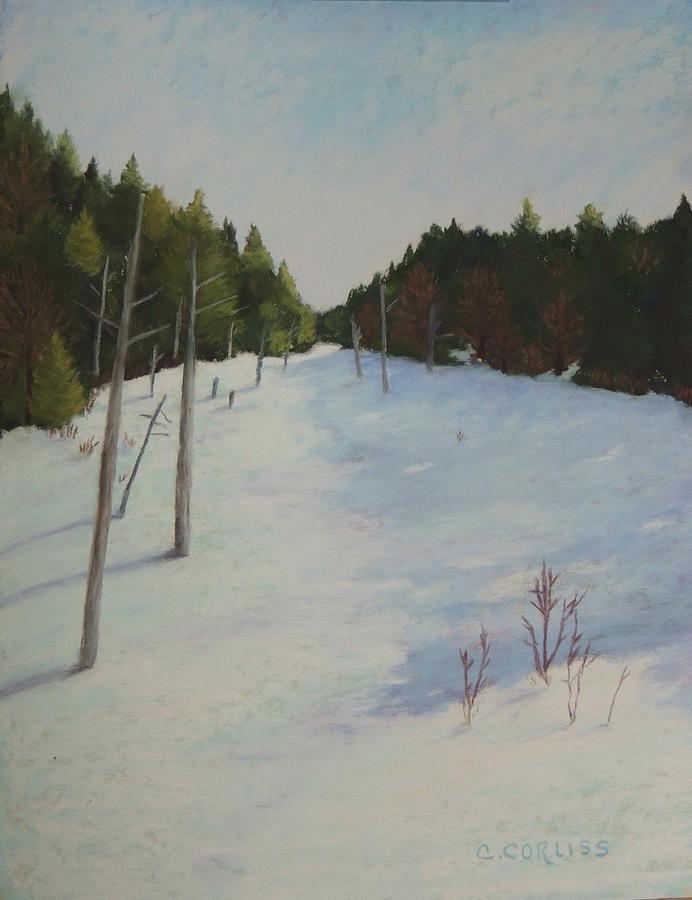Winter on Moose Pond Painting by Carol Corliss