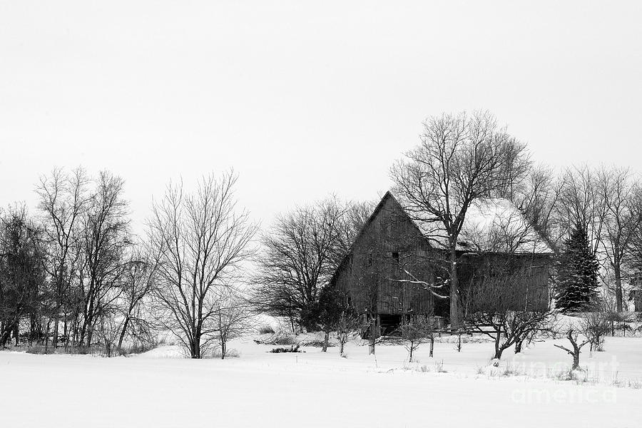 Winter on the Farm 9263 Photograph by Ken DePue