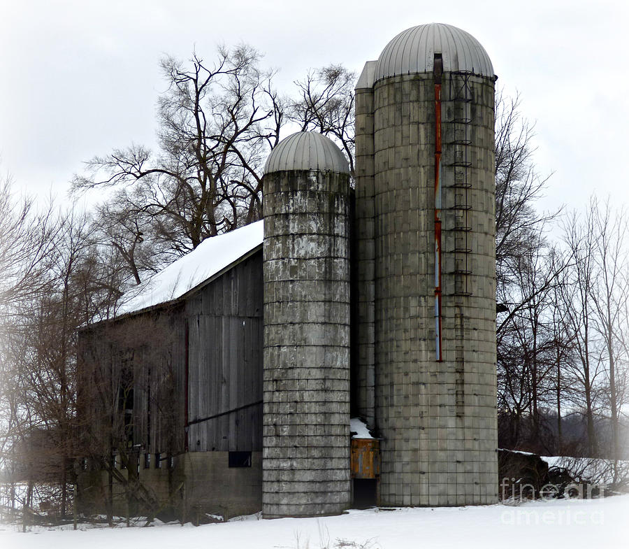 Winter On The Farm Photograph by Scott Ward