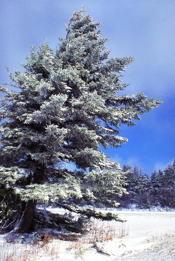 Winter On The Highland Scenic Highway Photograph