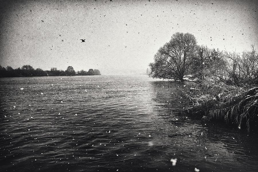 Winter on the Maas Photograph by Jaroslav Buna