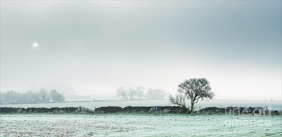 Winter on the Mendips Photograph by Colin Rayner