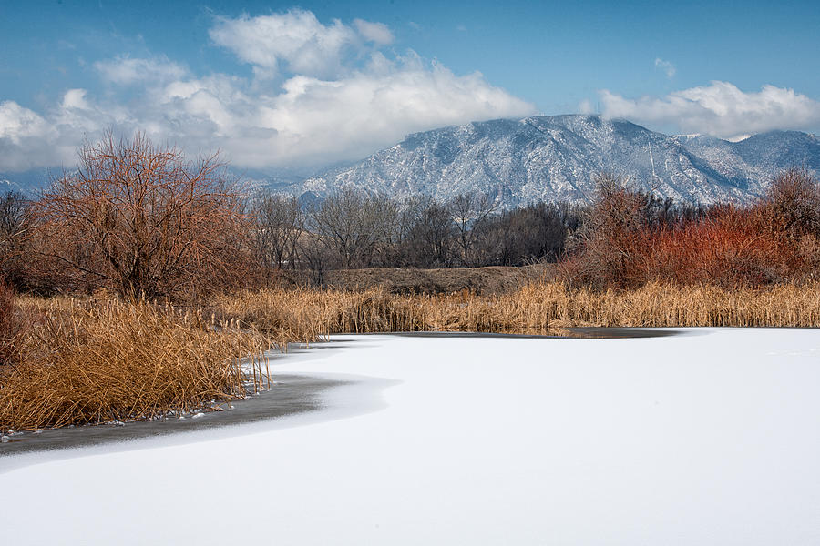 Winter on the Pond Photograph by Elin Skov Vaeth