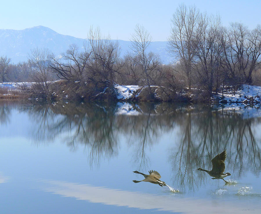 Winter on the Pond Photograph by Judi Dressler