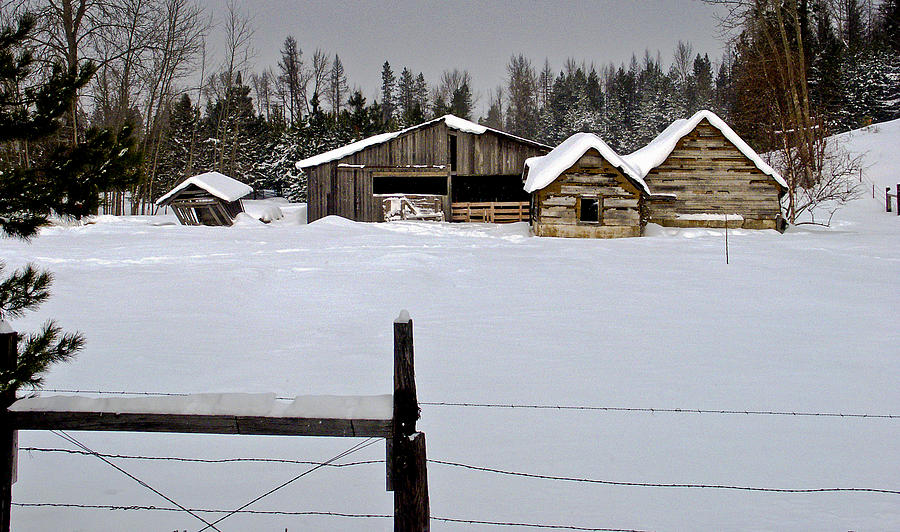 Winter on the Ranch Photograph by Albert Seger