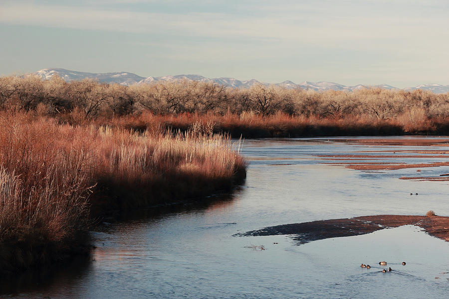 Winter on the Rio Grande Photograph by David Diaz