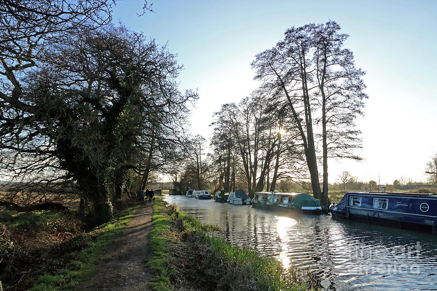 Winter on the River Wey at Send Surrey Photograph by Julia Gavin