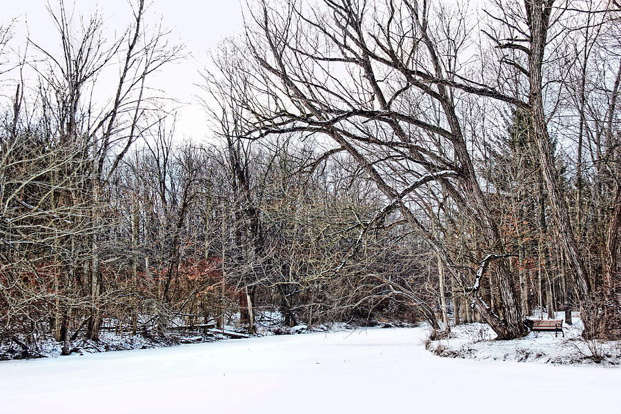 Winter On The Saline River Photograph