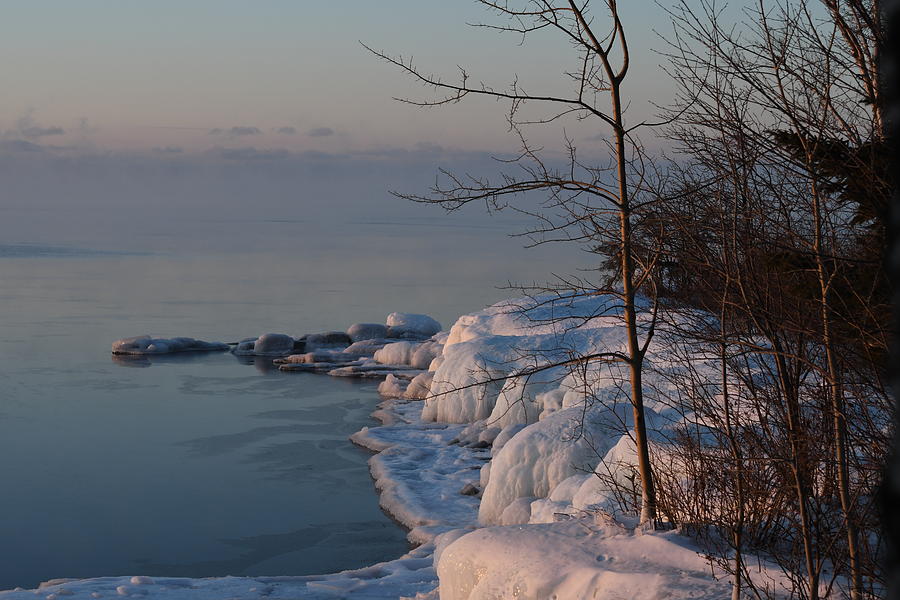 Winter on the Shore Photograph by Hella Buchheim