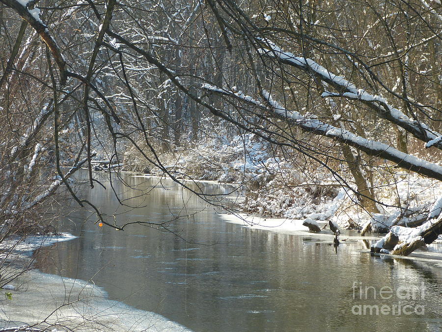 Winter on the Stream Photograph by Donald C Morgan