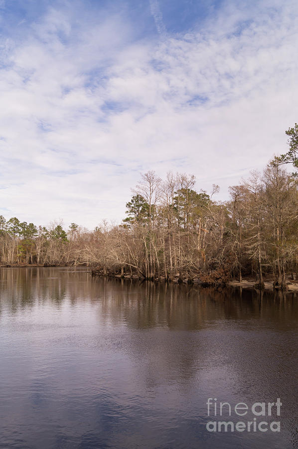 Winter on the Waccamaw River Photograph by MM Anderson