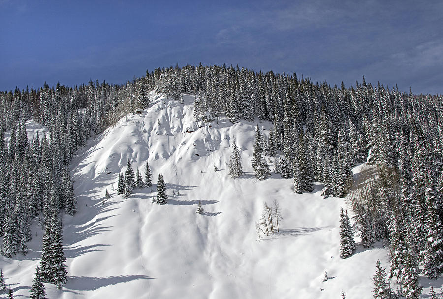 Winter On Vail Pass Colorado Photograph by Brendan Reals