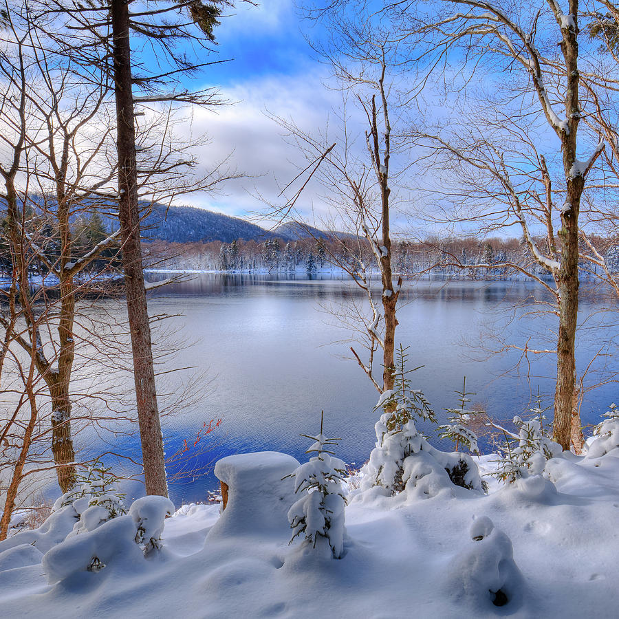 Winter on West Lake Photograph by David Patterson