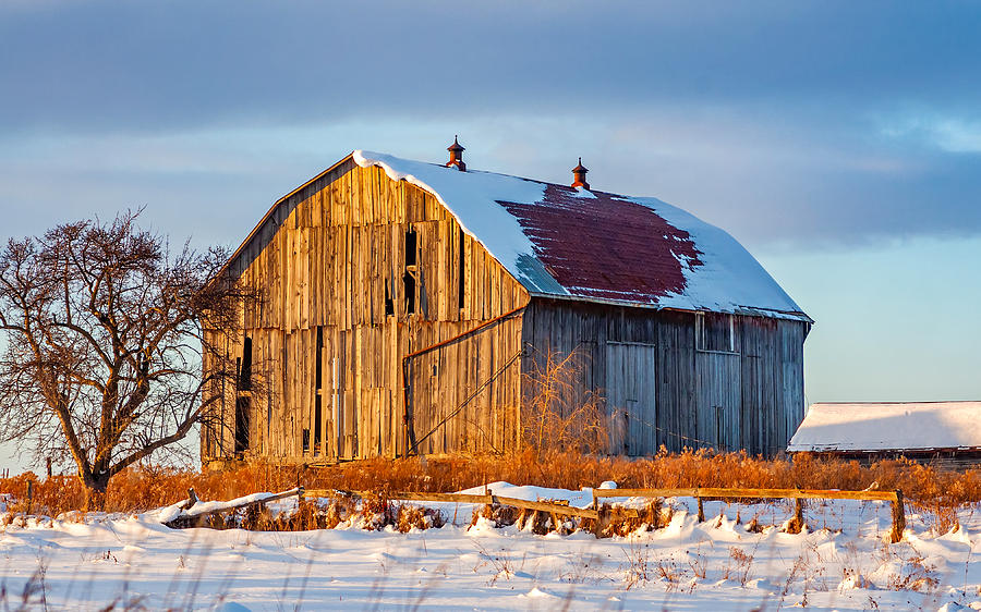 Winter Photograph - Winter Ontario Barn by Steve Harrington