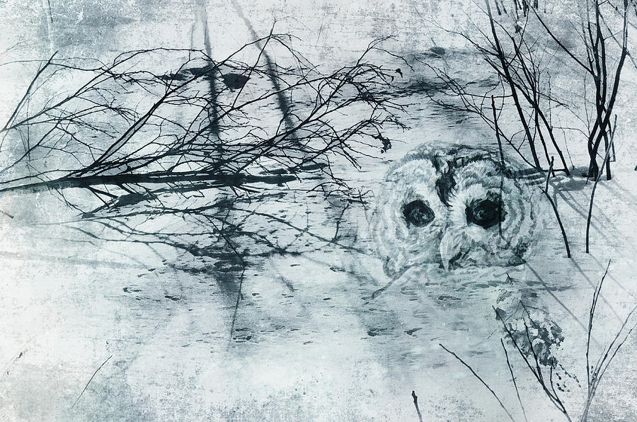 Winter Owl Digital Art by Sue Capuano