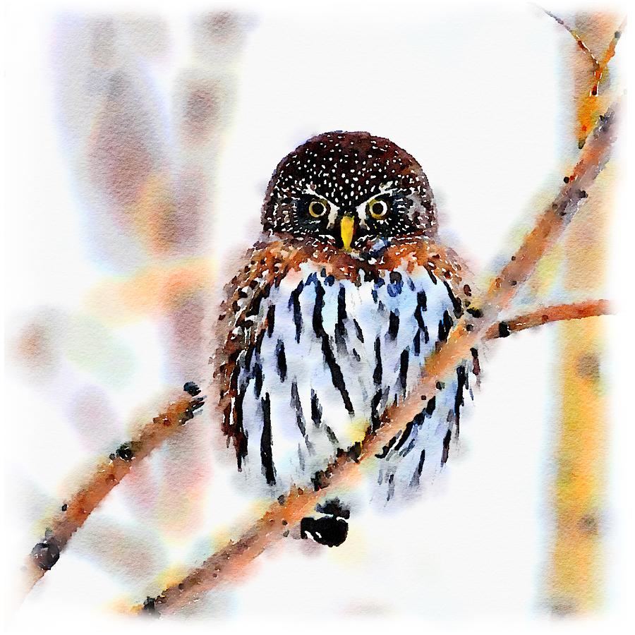 Owl Painting - Winter Owl Watercolor by Little Bunny Sunshine