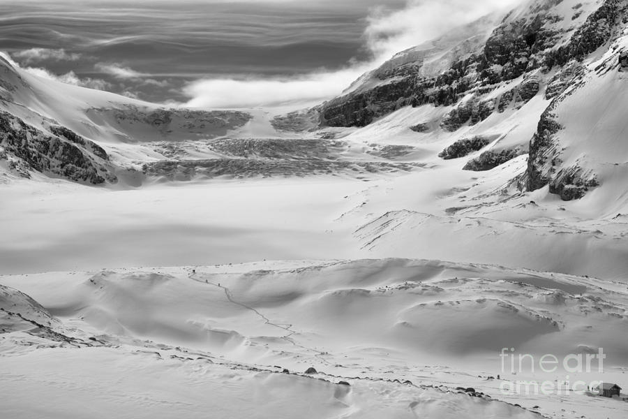 Winter Paradise At The Columbia Icefield Black And White Photograph by Adam Jewell