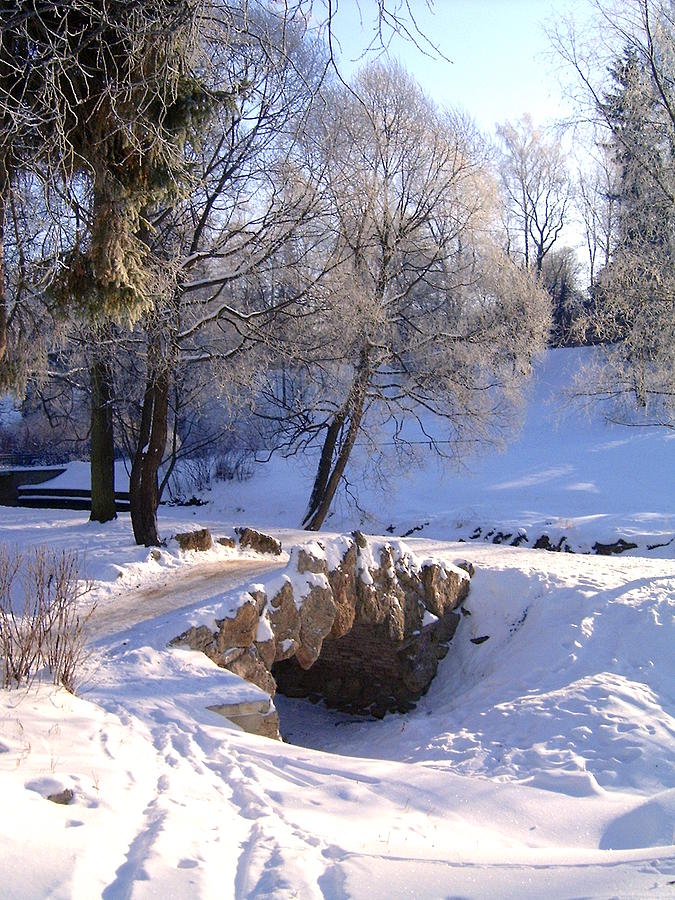 Winter Park Landscape Photograph by Masha Batkova