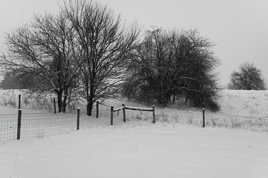Winter Pasture Photograph by Scott Kingery