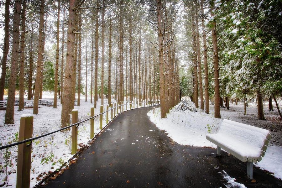 Winter Path at Retzer Nature Center  Photograph by Jennifer Rondinelli Reilly - Fine Art Photography