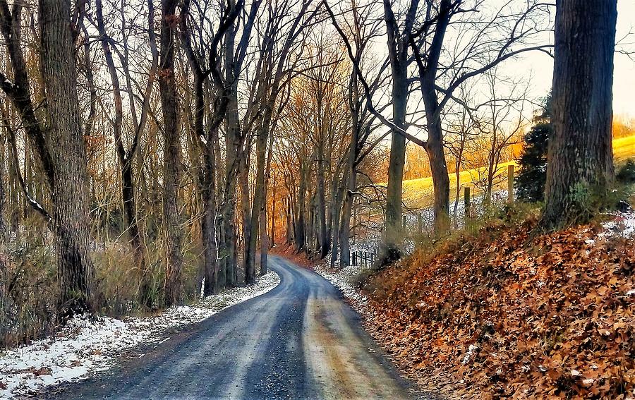 Winter Path Photograph by Jim Harris