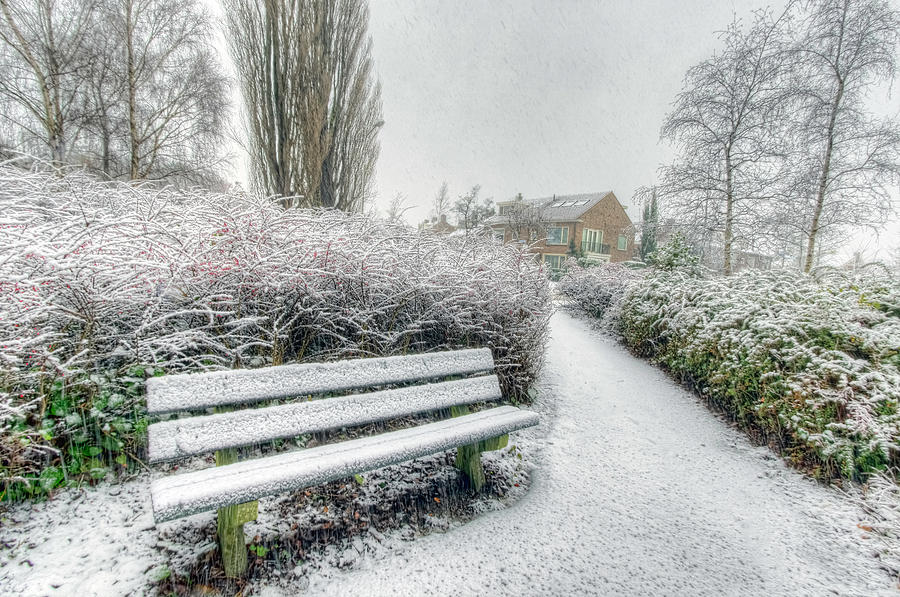 Winter Pathway Photograph by Nadia Sanowar