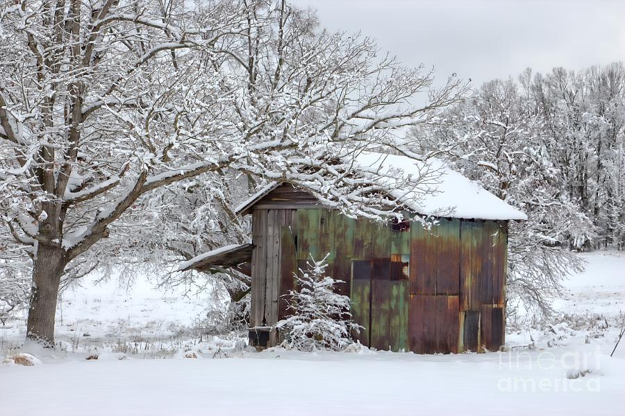 Winter Patina Photograph by Benanne Stiens