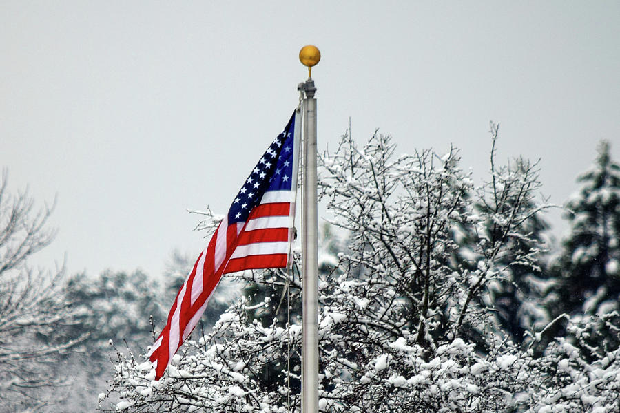Winter Patriotism Photograph by Mary Ann Artz