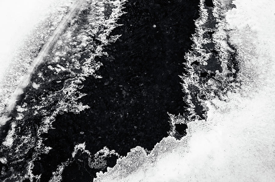 Winter Patterns 5. Frozen Nature Photograph by Jenny Rainbow
