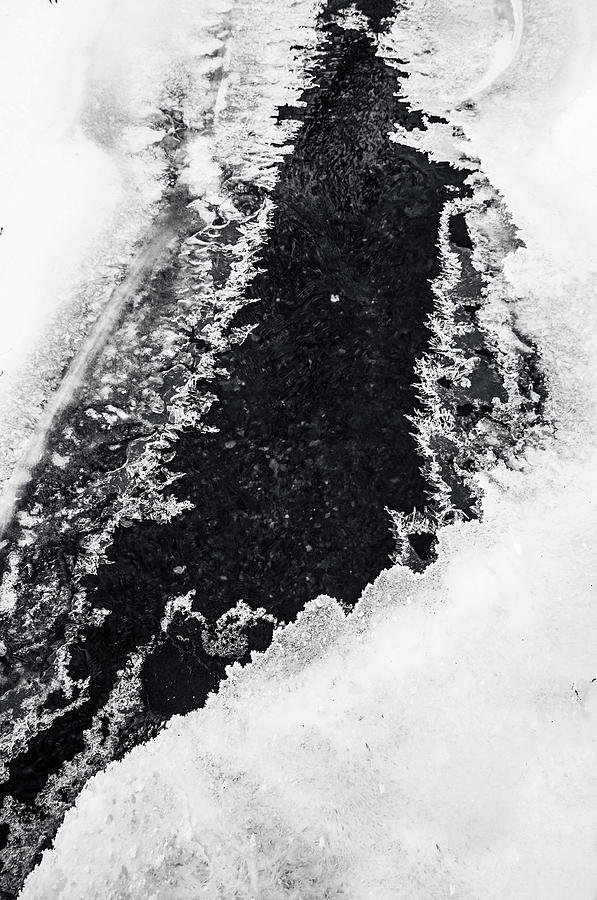 Winter Patterns 6. Frozen Nature Photograph by Jenny Rainbow