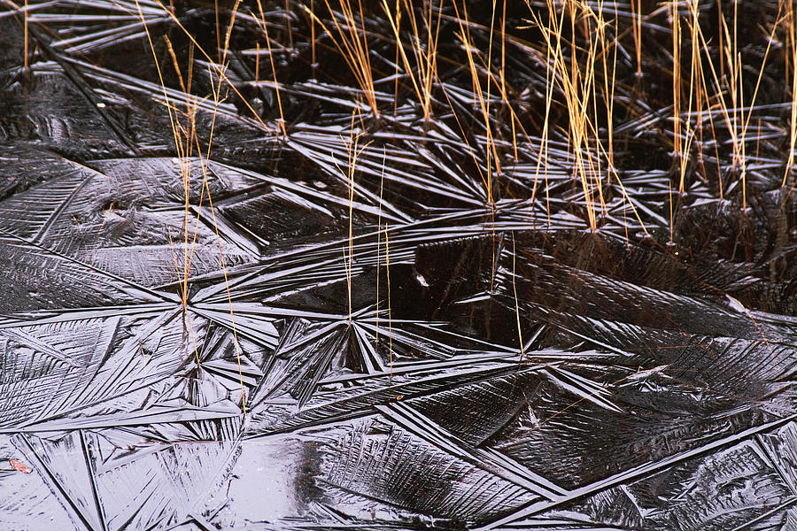 Nature Photograph - Winter Patterns by Wedigo Ferchland