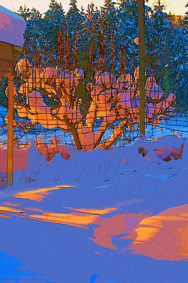 Winter Pear Digital Art by Robert Bissett