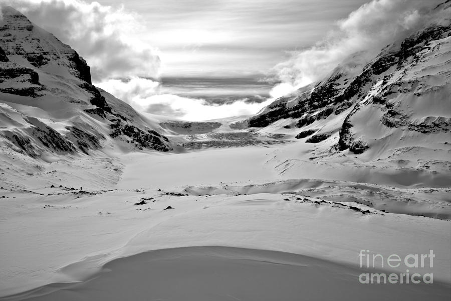 Winter Perfection Black And White Photograph by Adam Jewell